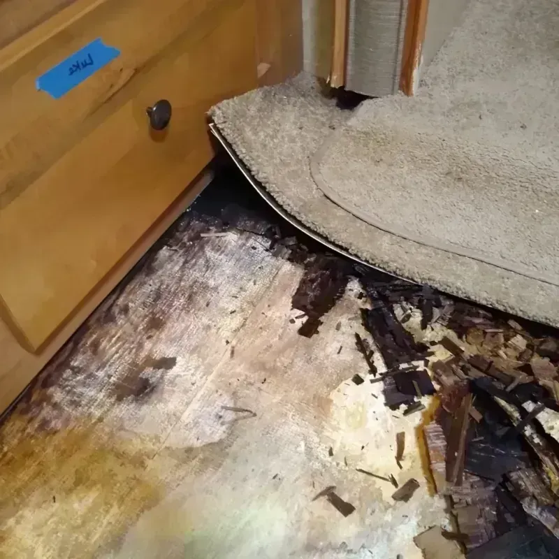 Best Wood Floor Water Damage Service in Grosse Ile, MI